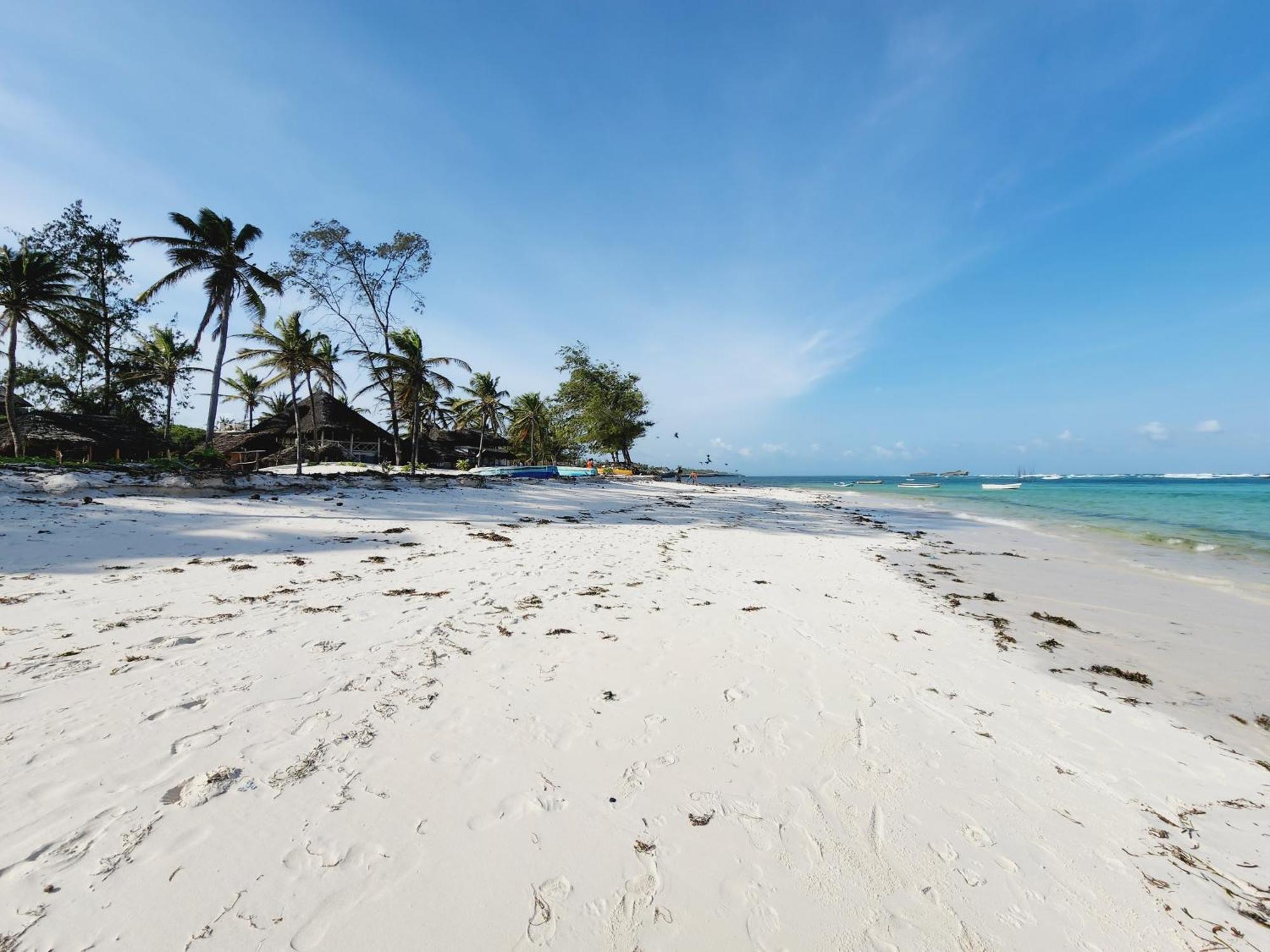 Ocean Breeze Homes 1, 2 Or 3 Bedroom Apartment